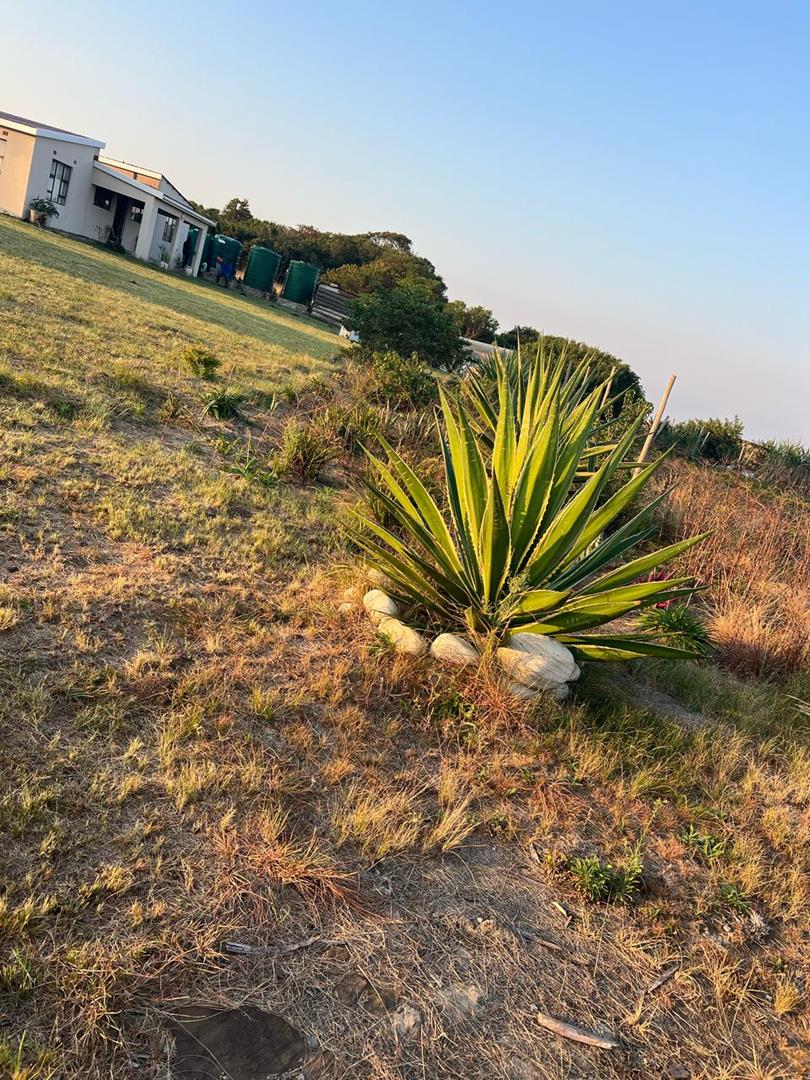 4 Bedroom Property for Sale in Lusikisiki Eastern Cape